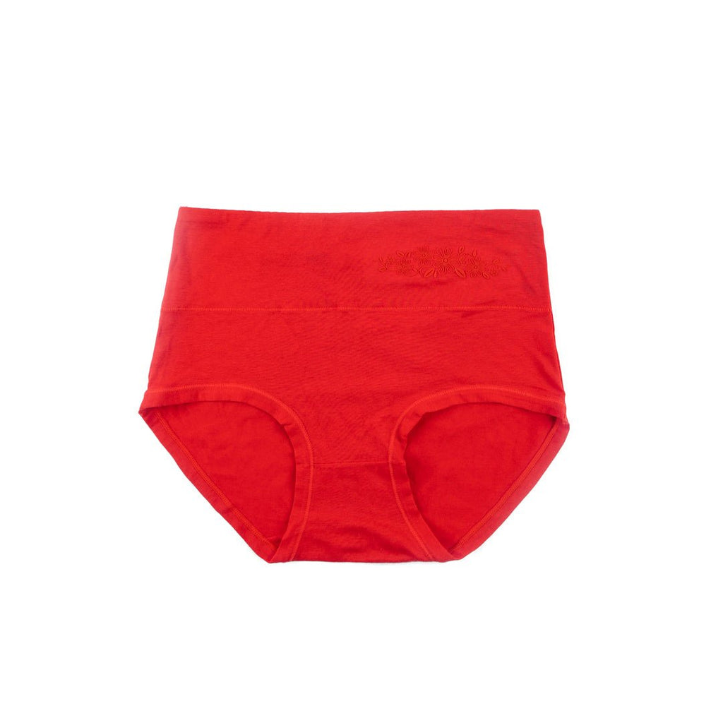 Control Brief Panty 6509 - Femorah