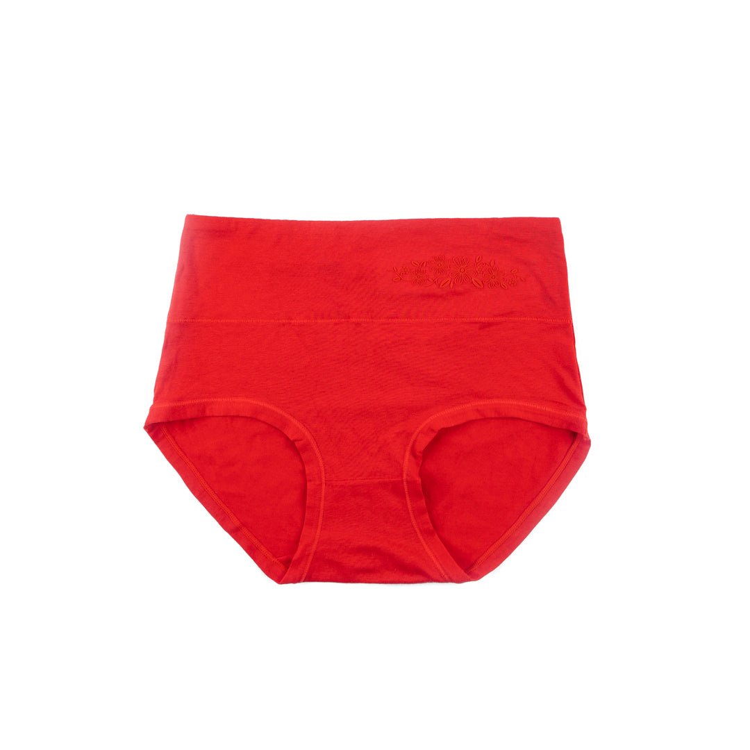 Control Brief Panty 6509 - Femorah
