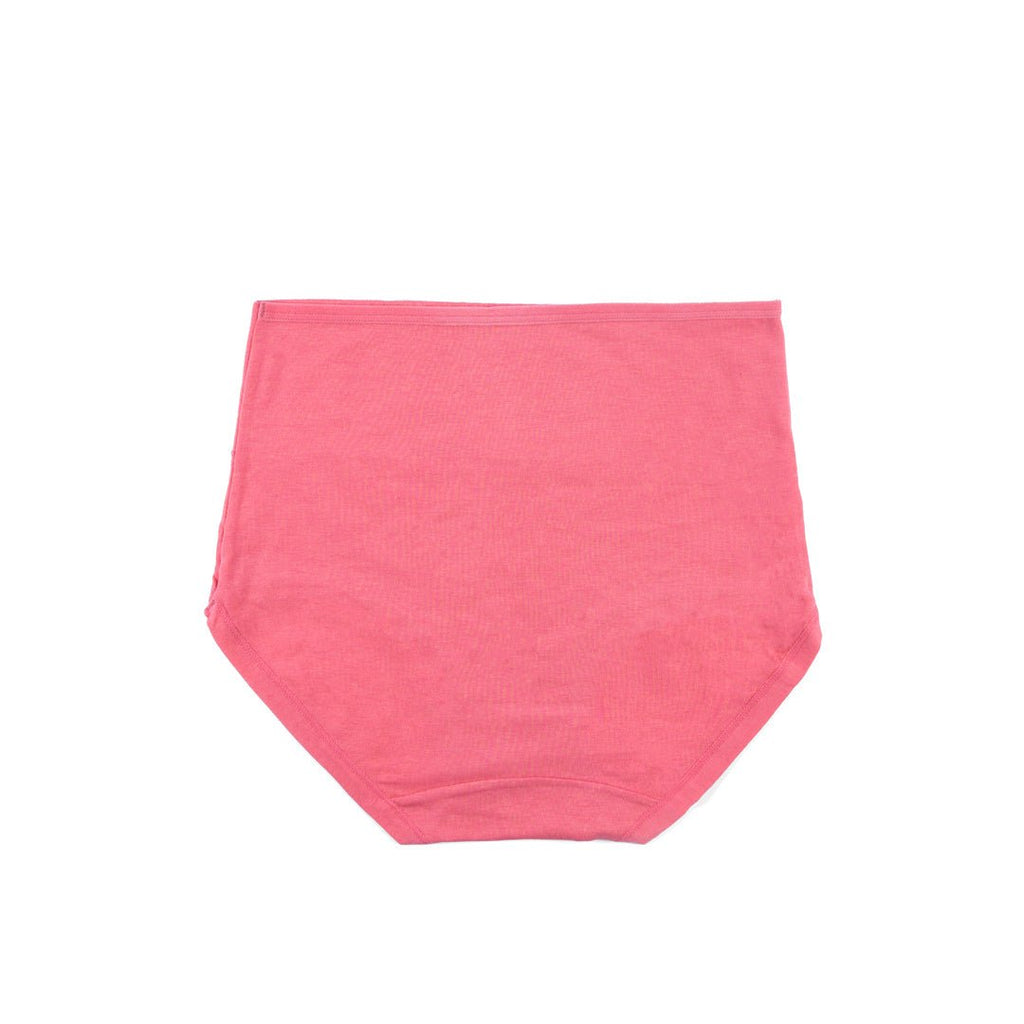 Control Brief Panty 6509 - Femorah
