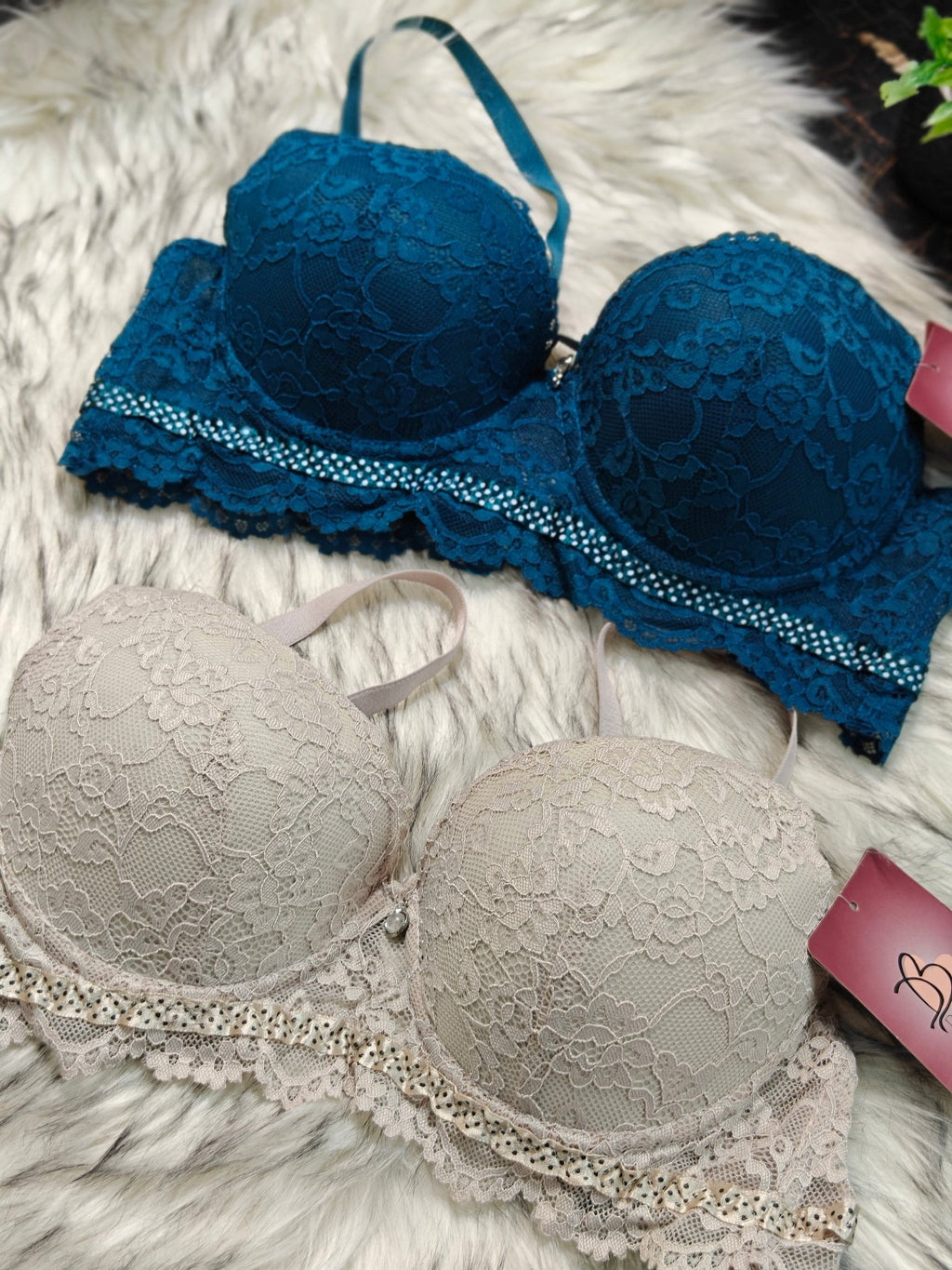 Femorah Luxe Lace Push - Up Bra – Soft Padded Bra 021 - Femorah