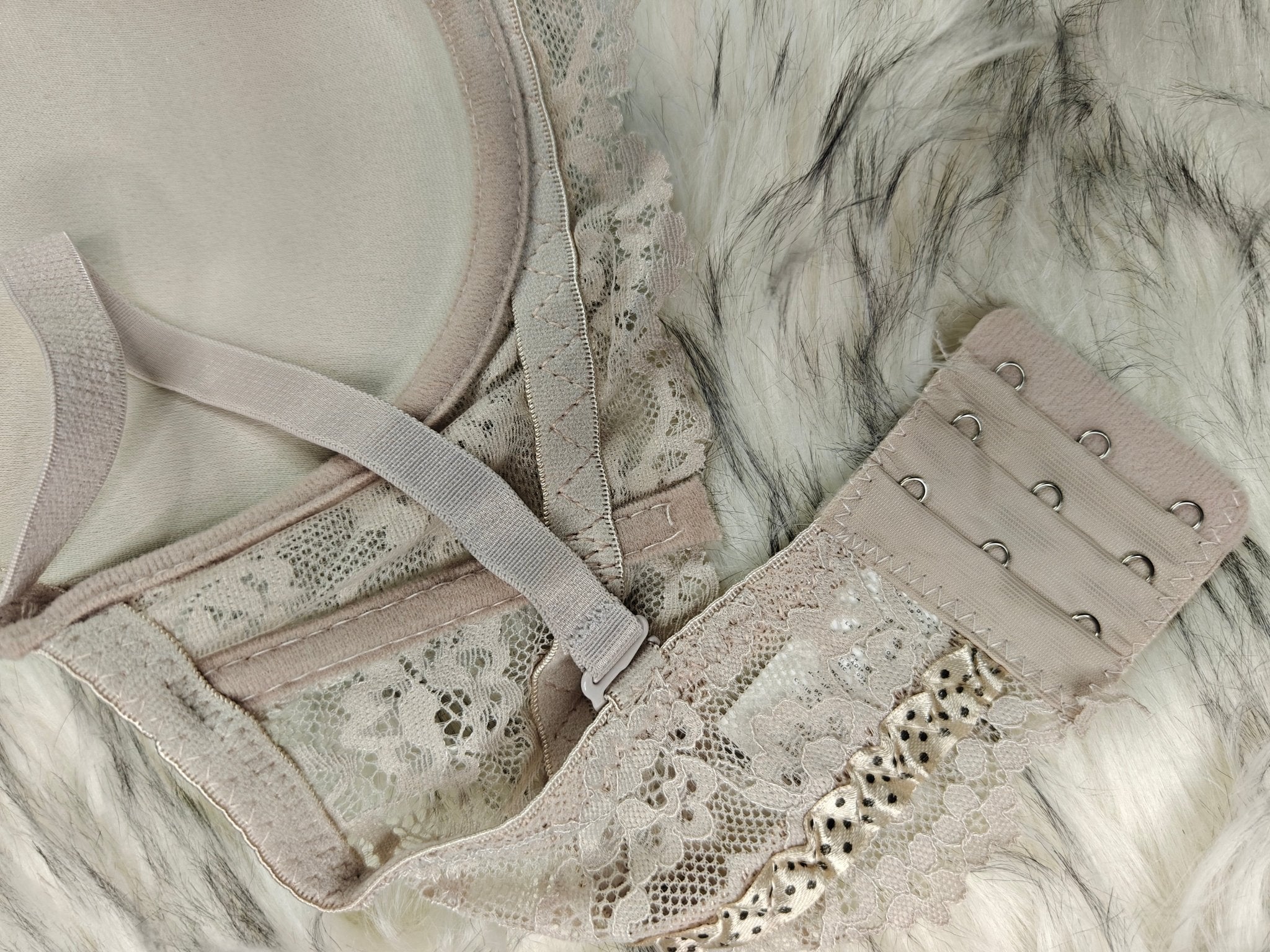 Femorah Luxe Lace Push - Up Bra – Soft Padded Bra 022 - Femorah