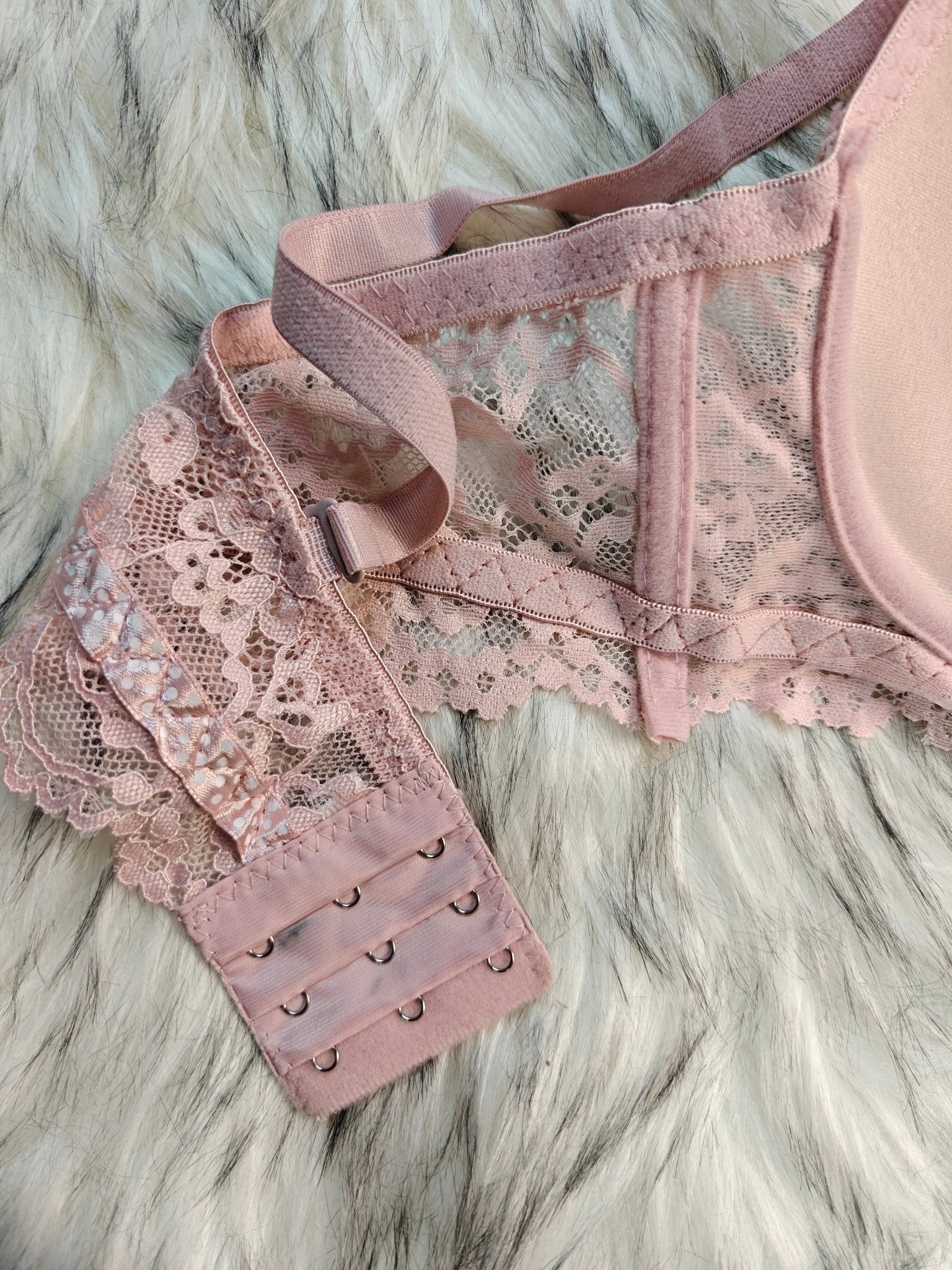 Femorah Luxe Lace Push - Up Bra – Soft Padded Bra 025 - Femorah